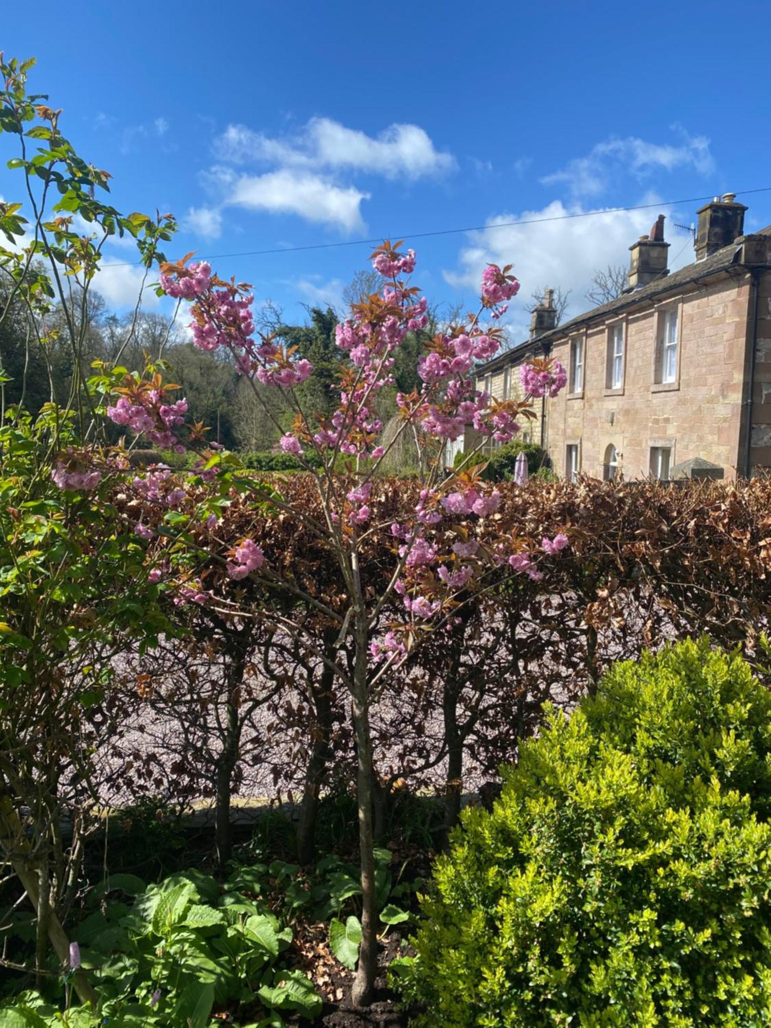 Rock House Bnb Bed & Breakfast Bakewell Exterior photo